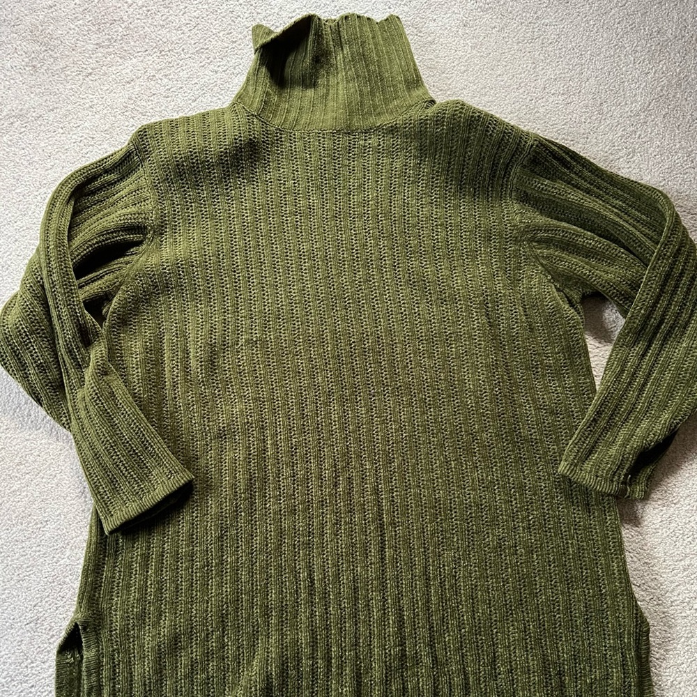 Express Soft Knit Turtleneck Sweater